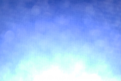 1016008488