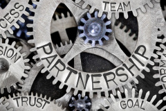 team