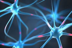 Neuron