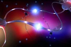 Nerve cell